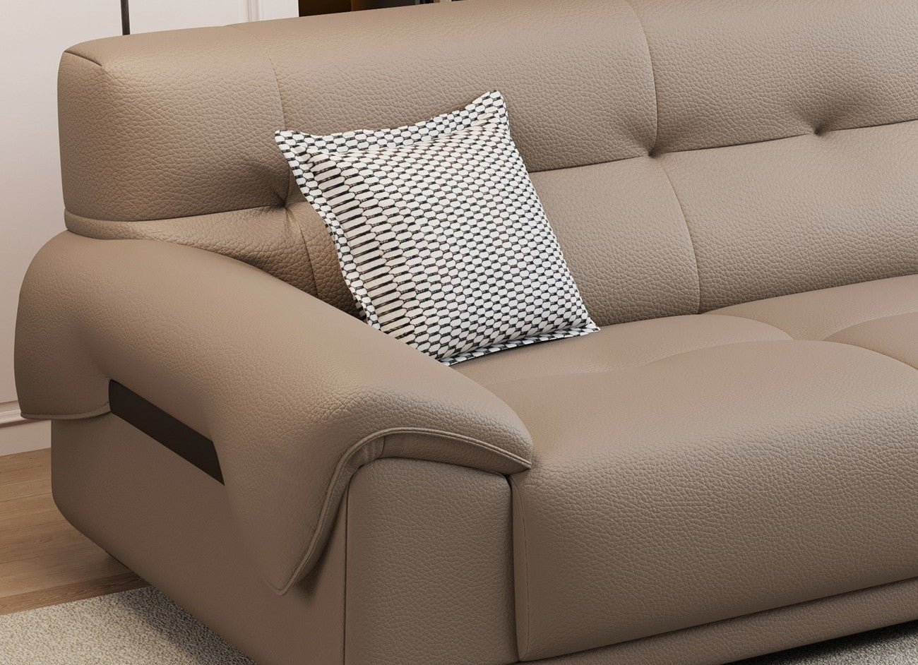 Catta Minimalist Leather Sofa